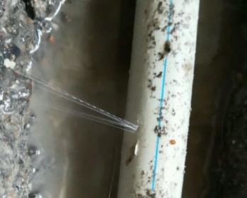 坊子卫生间测漏水多少钱