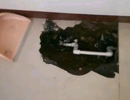 坊子卫生间测漏水多少钱